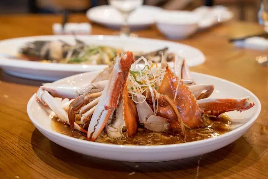 逛水族馆满脑子都是海鲜,水族馆里的海鲜