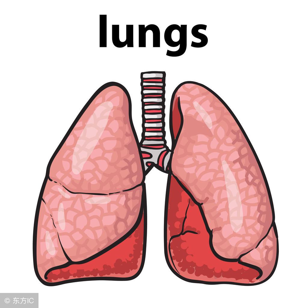 治疗肺大泡用什么药最佳,治疗肺大泡有什么偏方