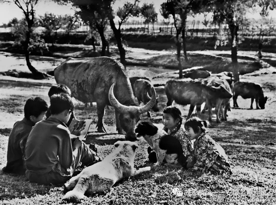 光“徽”岁月——影像见证安徽40年（一）