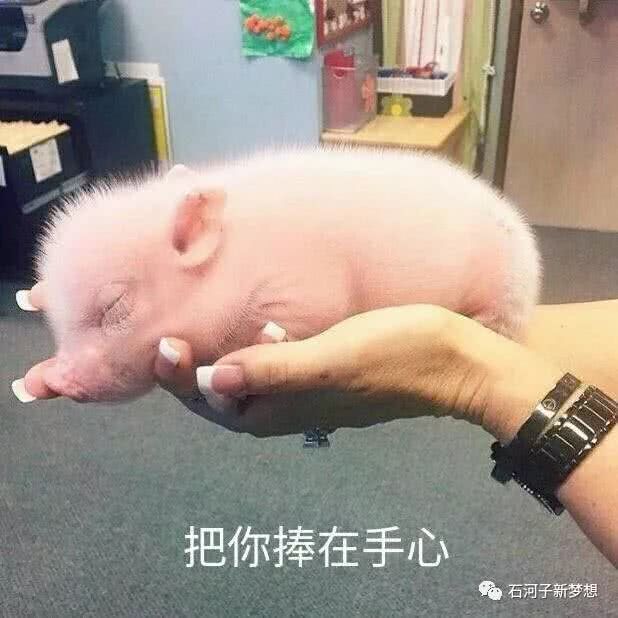 人死后会去到哪一道灵界,人去世后必经阴间7道关卡