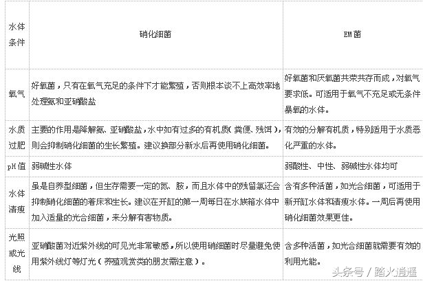 养鱼要培养什么菌,养鱼用什么水产菌种