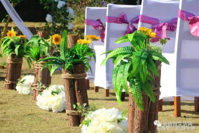 浪漫户外婚礼草坪婚礼,经典户外草坪婚礼