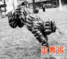 杞诲姛鍗佺缁冩硶,涓囩眮澹拌皥杞诲姛