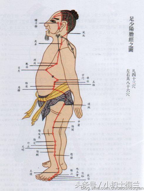任督二脉功法图,真气打通任督二脉图解