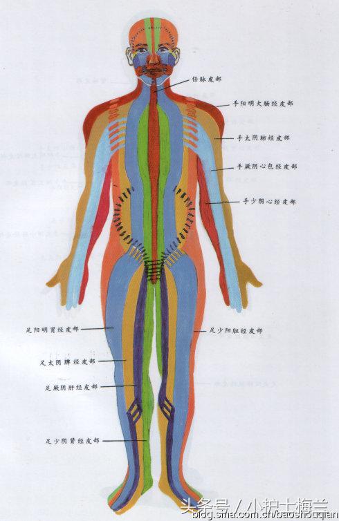 任督二脉功法图,真气打通任督二脉图解