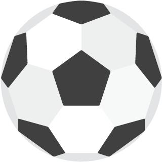 王健林大连万达足球俱乐部,王健林来吕梁万达