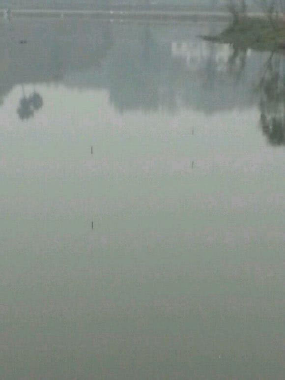 抬线钓法全过程,四川最厉害的钓法