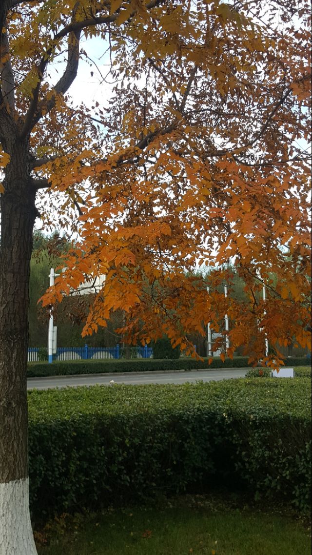 华为mate20pro现在还能买吗,华为mate20pro还可以入手吗