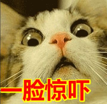 ugg被查,ugg被查封