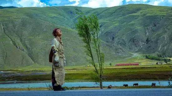 不安利这部讲述*藏西**的优秀国产片，我良心不安！