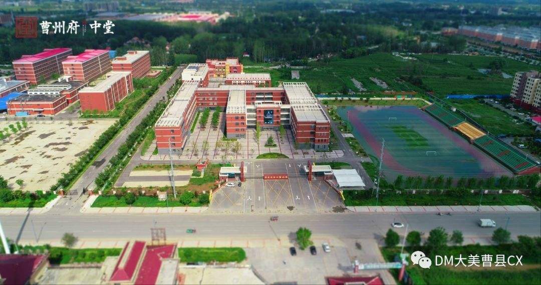 阿呆图片动图,阿呆高清图片图文