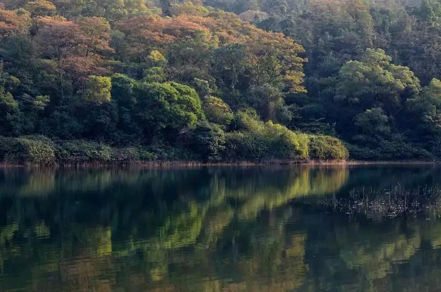 广东江门的地位,广东江门这座城市怎么样