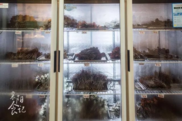 这家凭年糕火锅圈粉无数的店,这家串串每吃一次都念念不忘