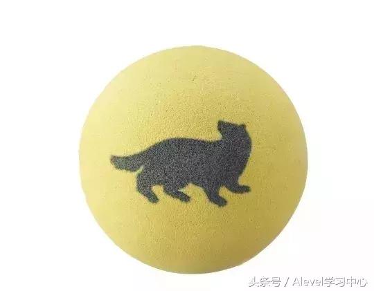 哈利·波特联名彩妆,哈利波特的彩妆