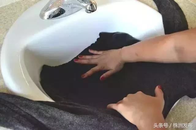 小编的羊毛衣老爱掉毛？妈妈洗衣粉里加一点东西，再也不怕掉毛了～