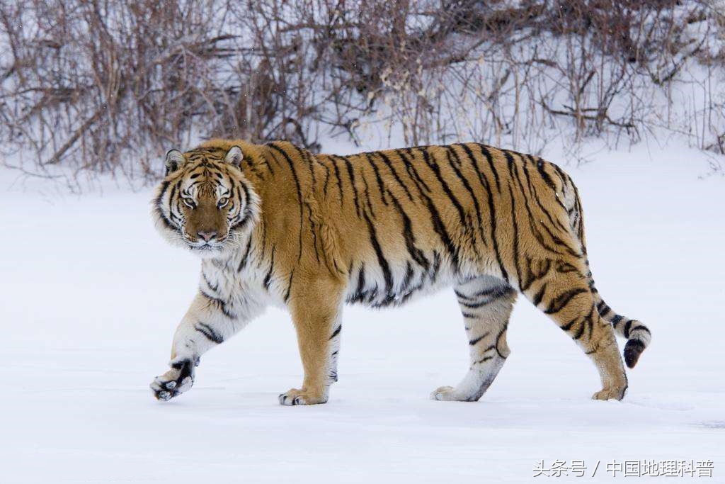 地理航拍中国黑龙江,黑龙江自然地理环境特征