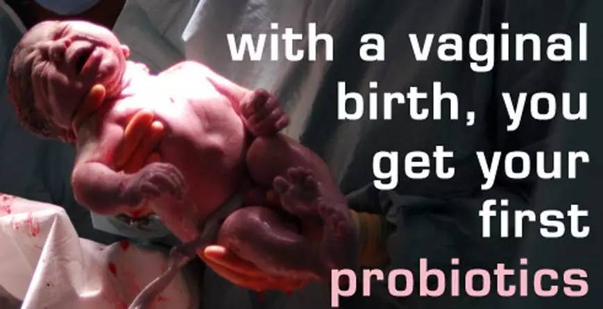 美乐家益生菌视频,美乐家益生菌菌数