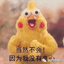 你买到真正的羽绒被了吗,淘宝哪里能买到真的羽绒被