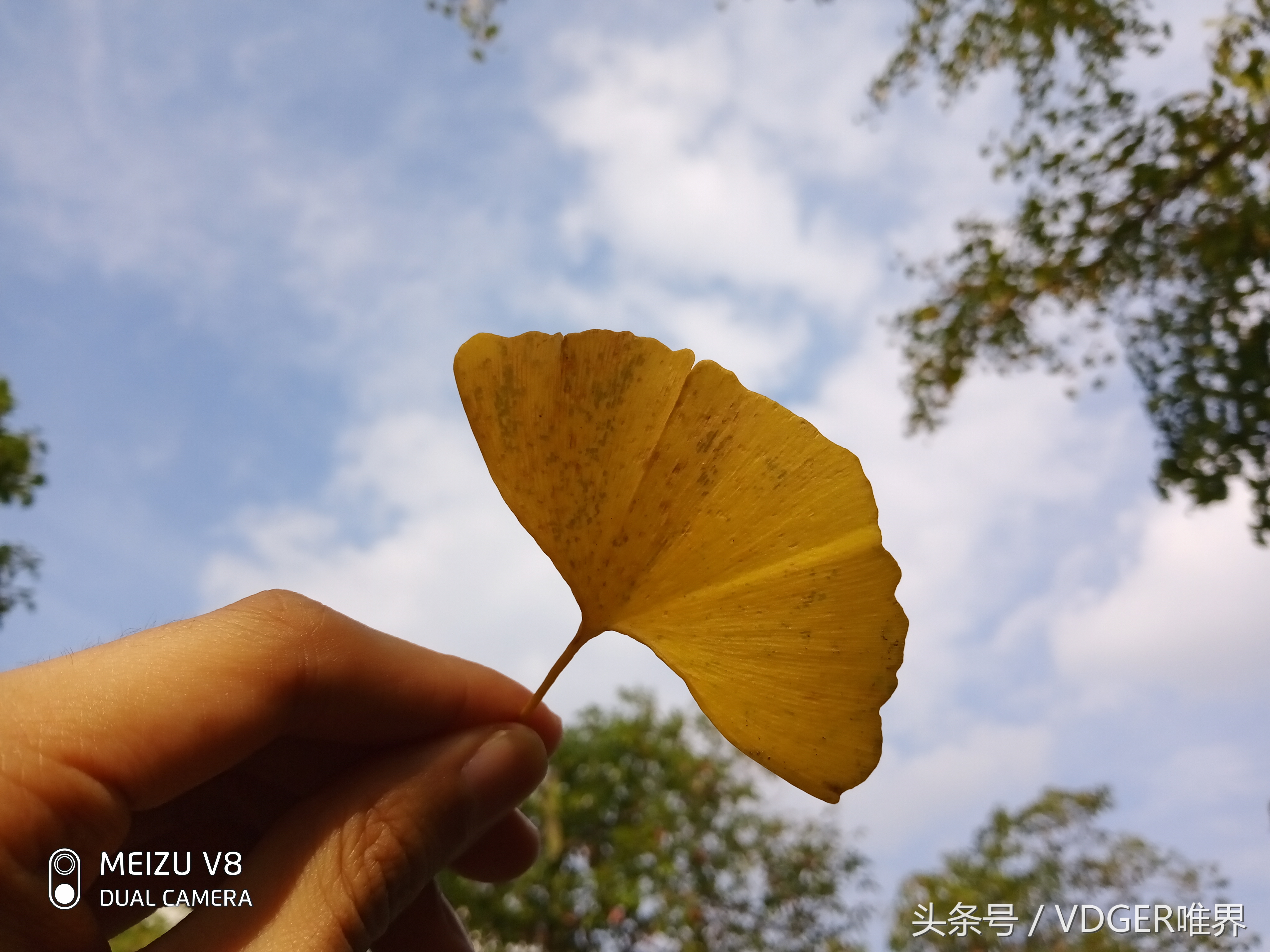 魅族v8怎么样值得购买吗,魅族v8新款手机