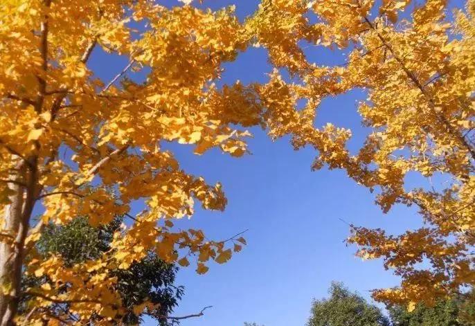 昆明市好消息,云南昆明好消息