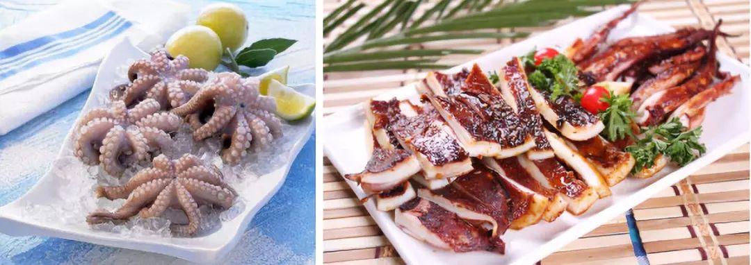 乌贼鱿鱼八爪鱼章鱼有什么区别,章鱼乌贼鱿鱼傻傻分不清怎么办