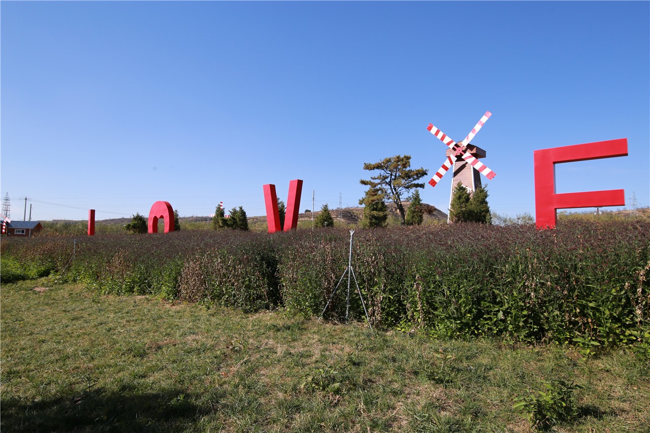 甘肃精彩之旅,甘肃壮美丝路
