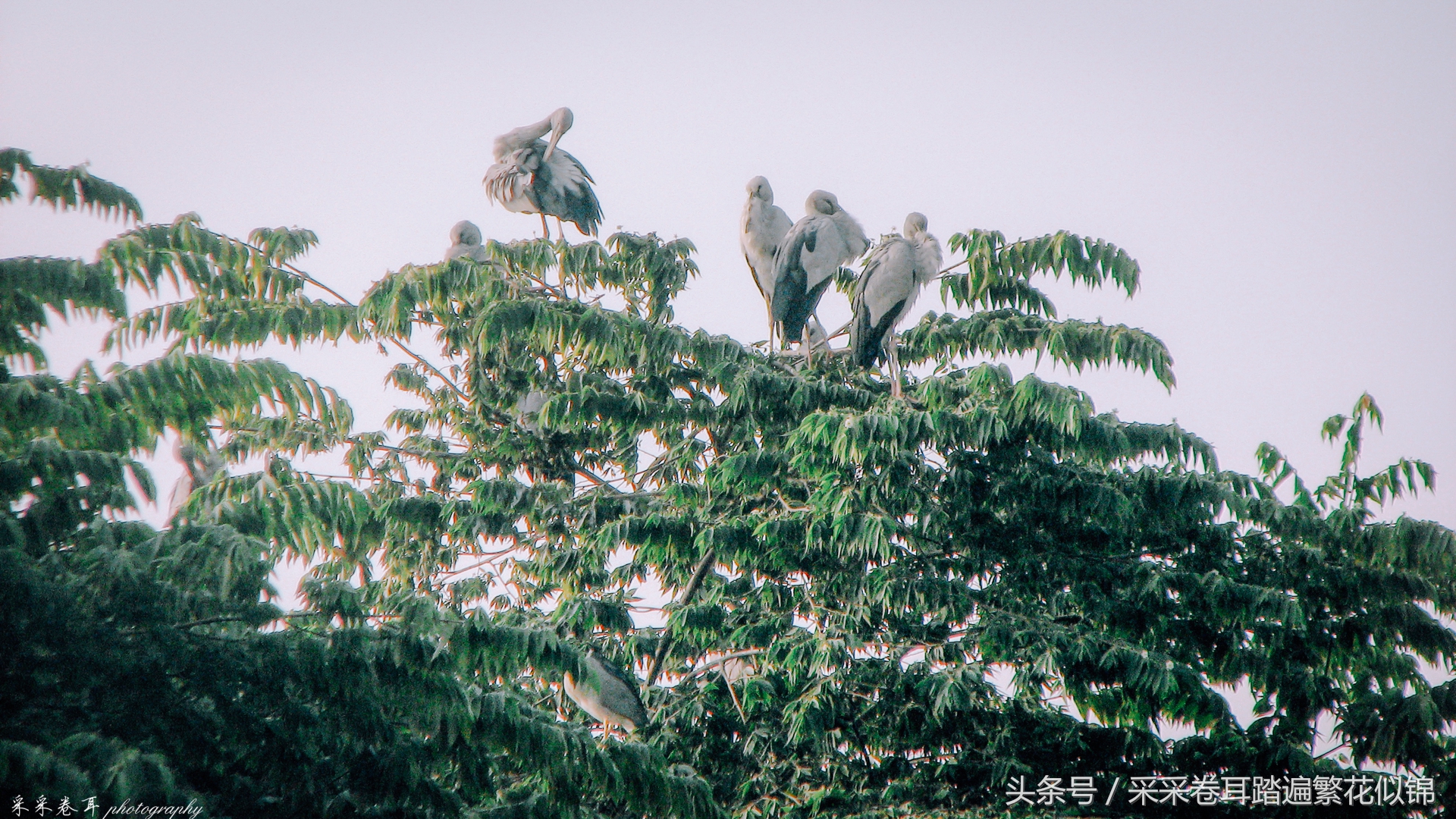 瑞丽最值得去的地方,瑞丽网红打卡地弄莫湖