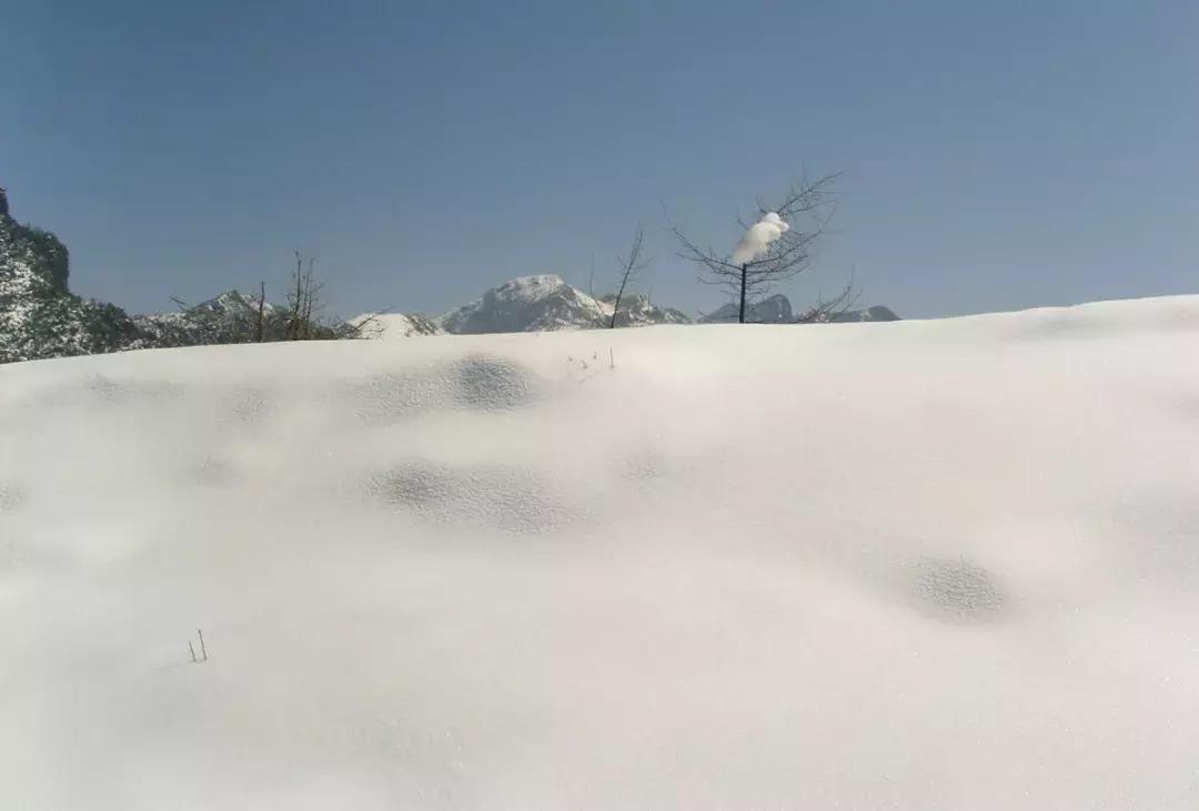 重庆冬天看雪景点,重庆最近看雪景的十大绝佳地点