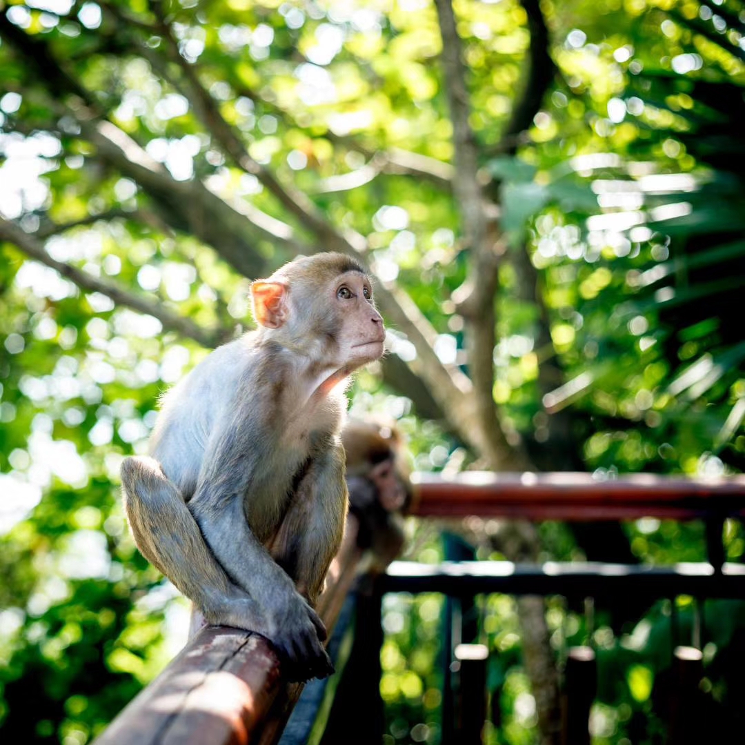 海南足球游记：摄影师眼中的非典型三亚