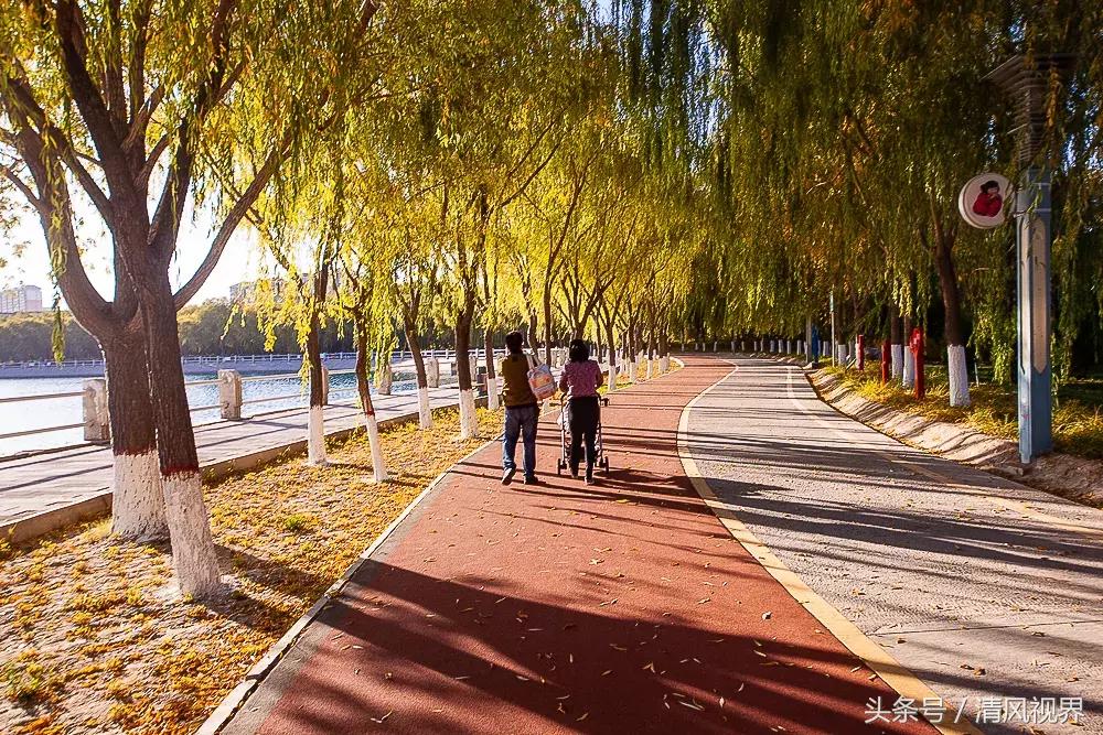 中国铁人三项训练基地,三项国际铁人比赛在哪里