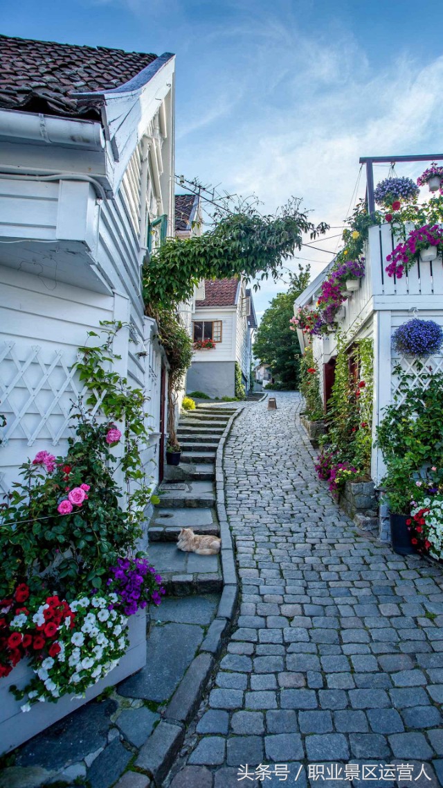 旅游景区创业好做吗,旅游景区加盟创业项目