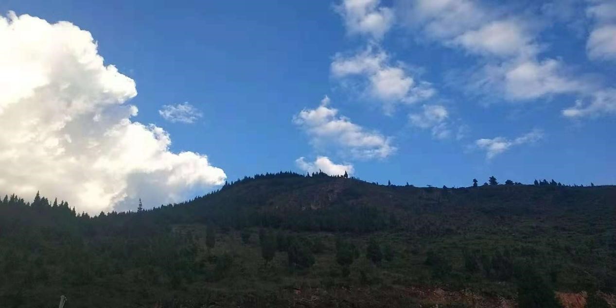 代理商抢经销商生意,为什么那么多品牌代理商抢着做