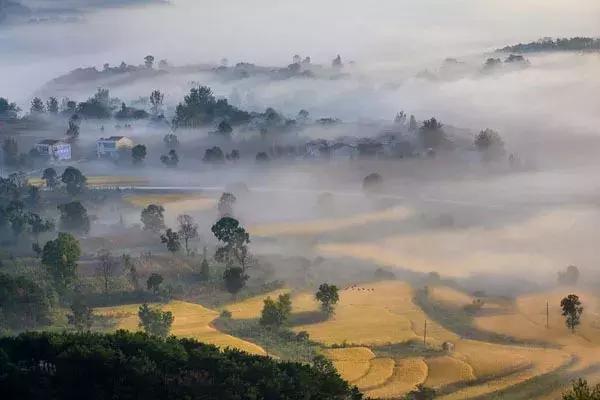 大悟,一个和婺源相媲美的地方,等了一整年的最红秋色终于来了!
