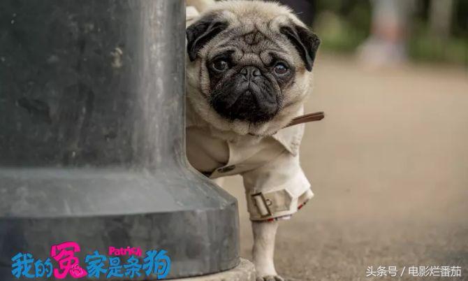 十一月这份片单,我敲锣打鼓的告诉你