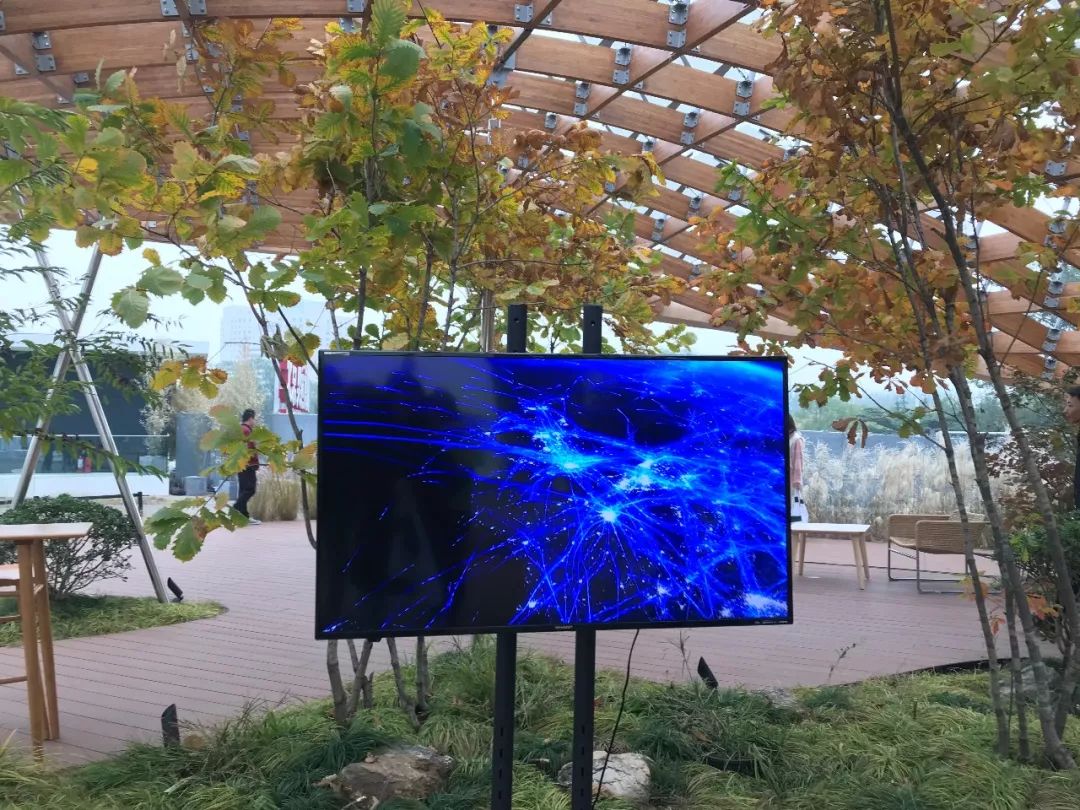 小新带你看2018CHINAHOUSEVISION探索家—未来生活大展