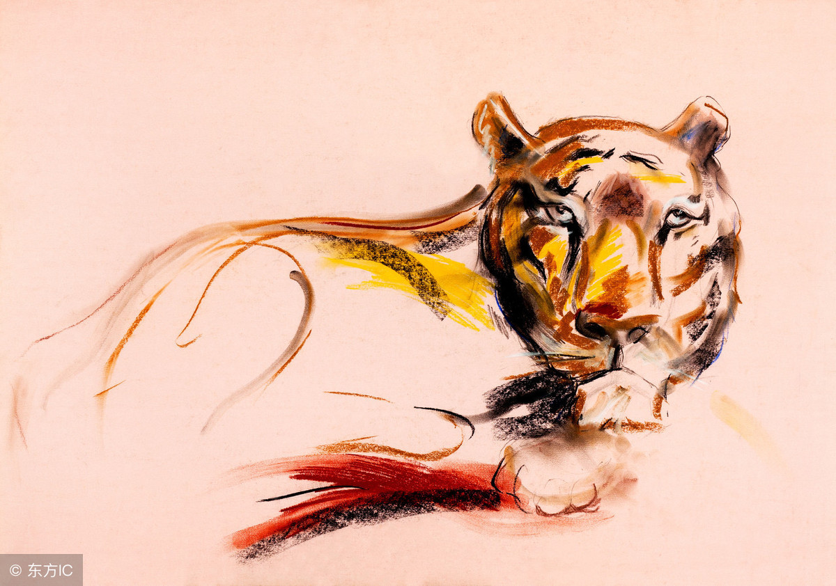 家里挂虎有什么说法,家中不建议挂虎图吗