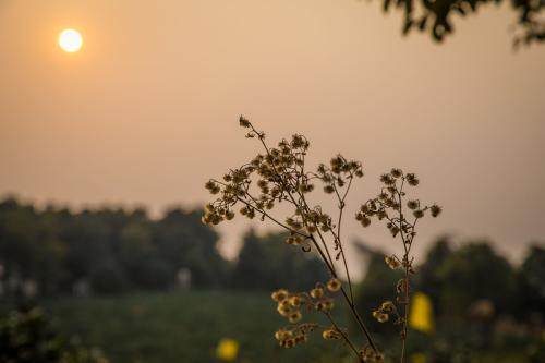 认识一星期表白被拒绝怎么补救,被喜欢的女孩拒绝了后续该怎么做