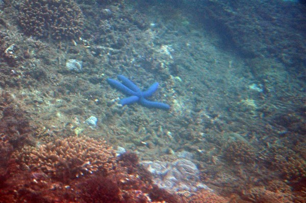 闺蜜的看海之旅，三亚自由行攻略