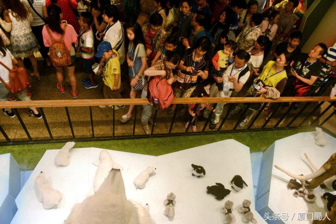 济州泰迪熊博物馆免费吗,济州泰迪熊博物馆免税店