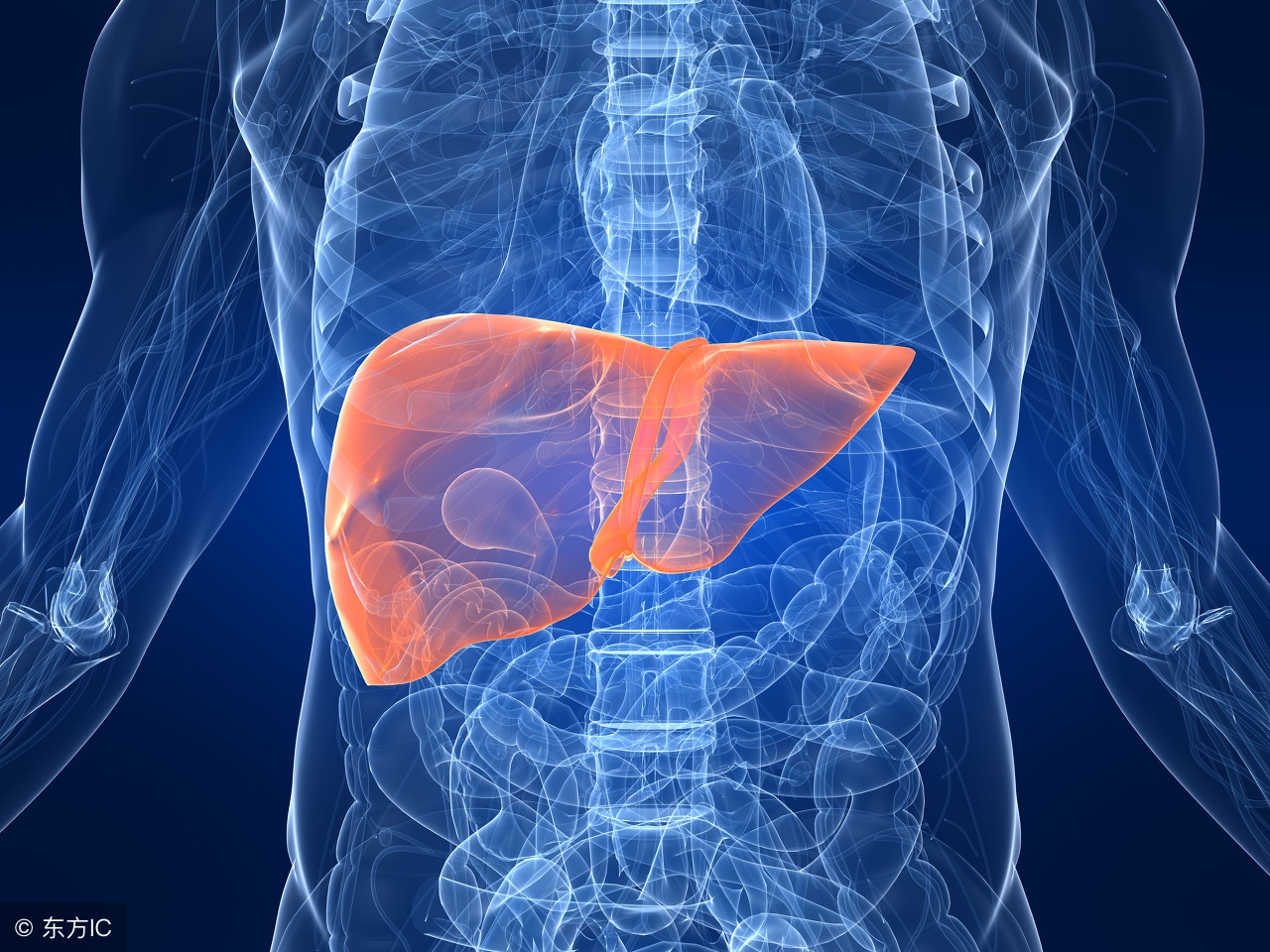 乙肝新药替诺福韦二代的疗效如何,乙肝神药替诺福韦