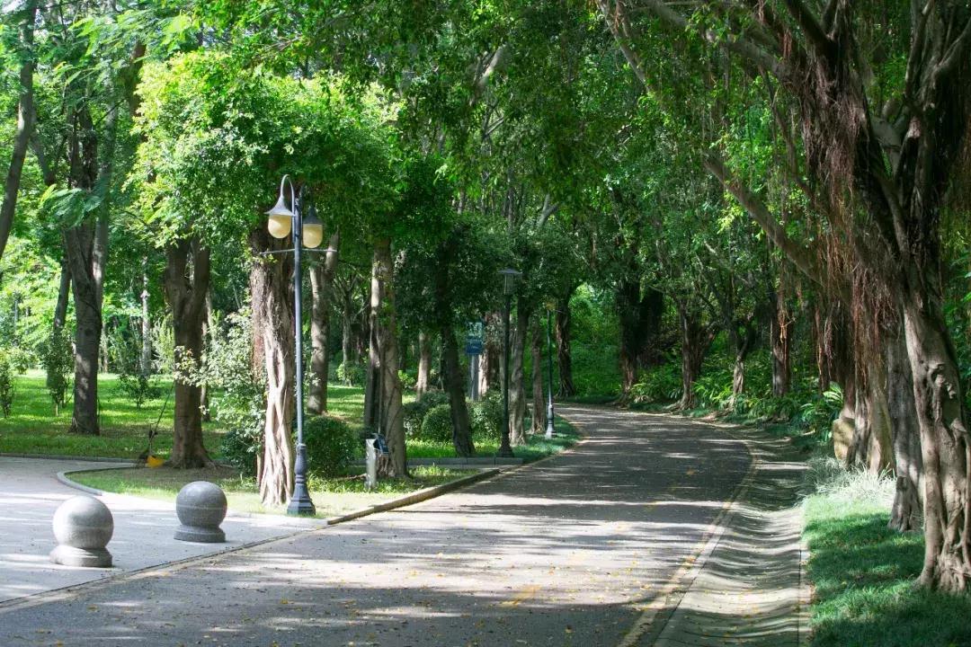 深圳向世界发出邀请,向世界推介深圳