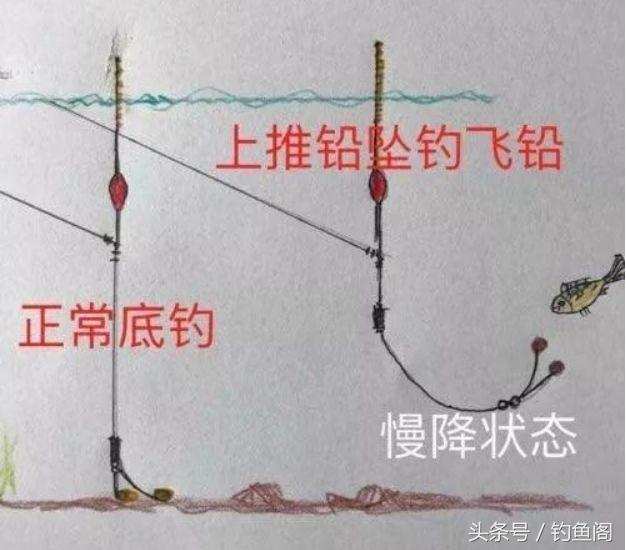 鱼总是浮在水面不动怎么钓,鱼起浮到水面了怎么钓