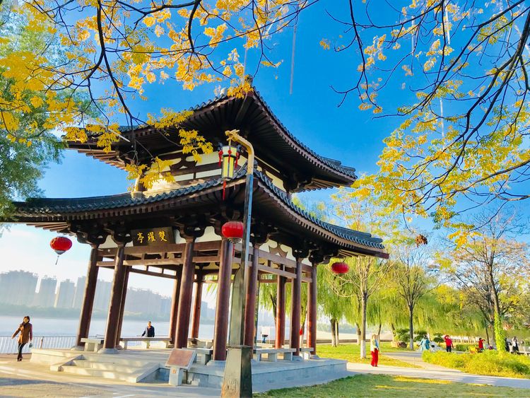 秋到上阳宫，黄叶蓝天高宫阙，皇帝都赞的美景，免费你都没去看？