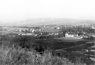 国营农牧场怎样发展乡村振兴,现代化国营农场如何发展