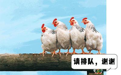 键盘上的字母为什么不按abcd排列,为什么键盘上的字母顺序不是abcd