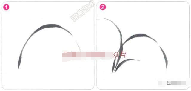 兰花国画写意画法初学者教程,国画教程写意兰花示范讲解