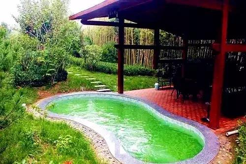 这个季节韩城的花椒是最美的风景,韩城冬季好玩的免费景点