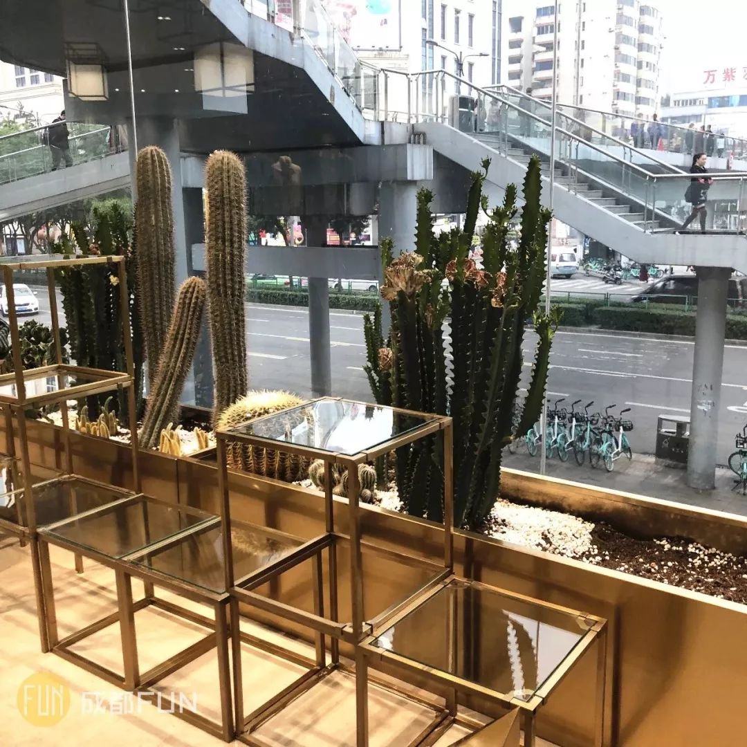 实测成都5家买手店，只想进去拍照不想买衣服……