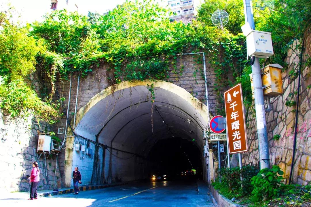 娴欐睙鍙板窞瀹濊棌鐢峰,鍙板窞瀹濊棌鐢风敓