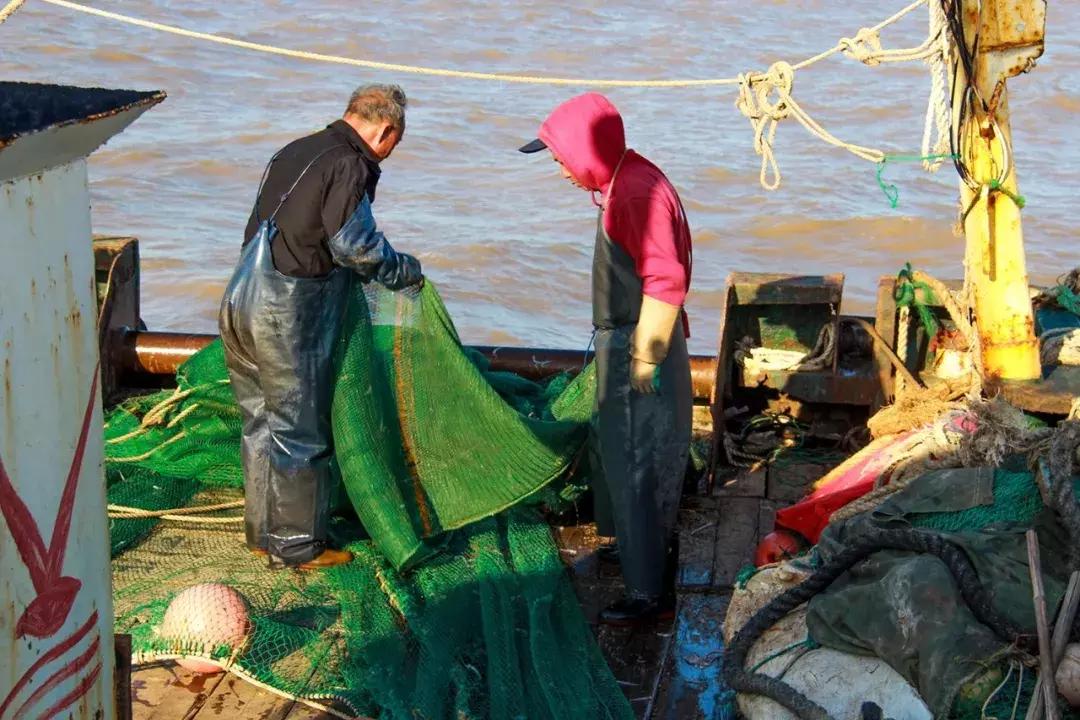娴欐睙鍙板窞瀹濊棌鐢峰,鍙板窞瀹濊棌鐢风敓